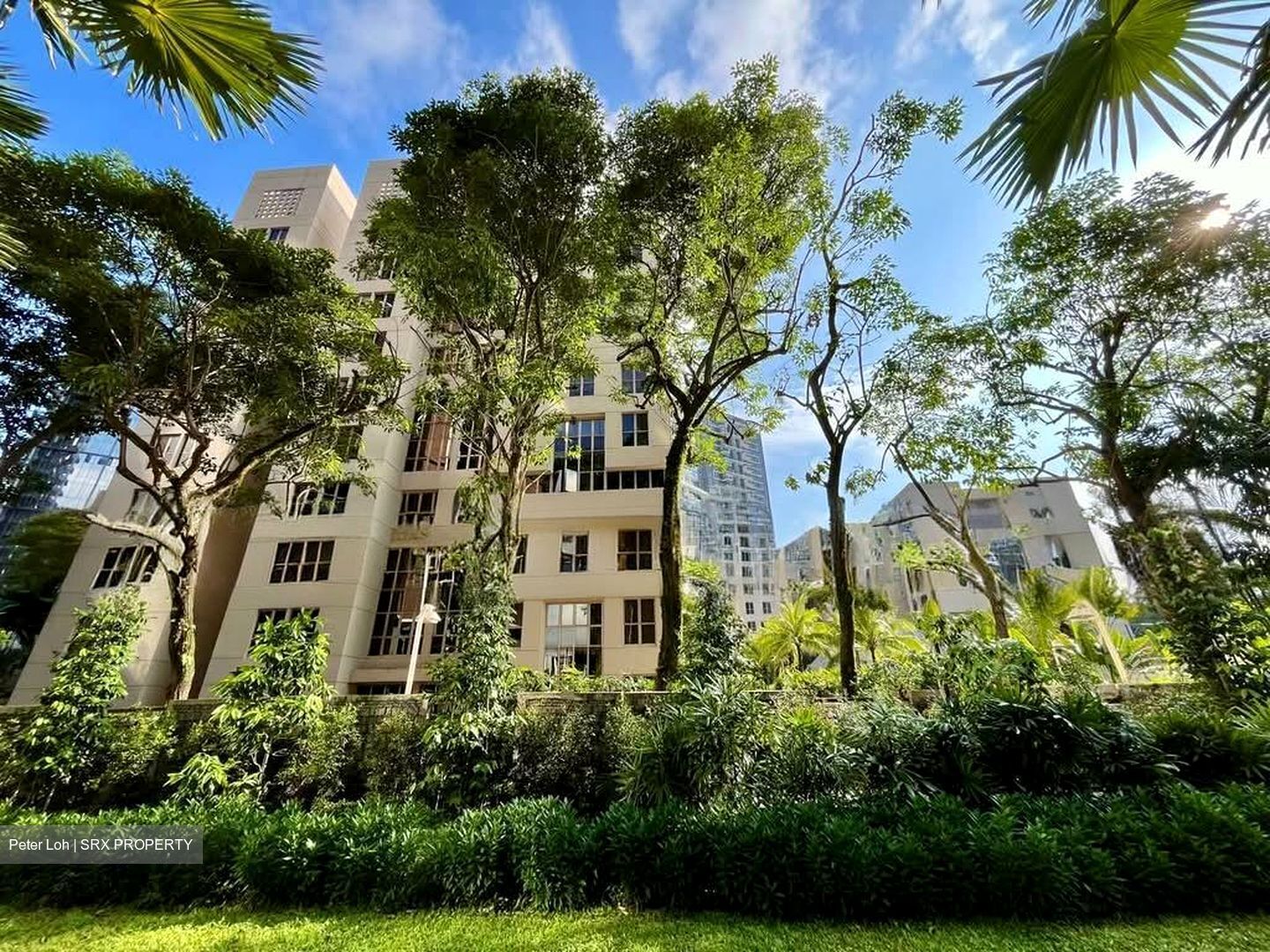 Regent Park (D5), Condominium #529483251